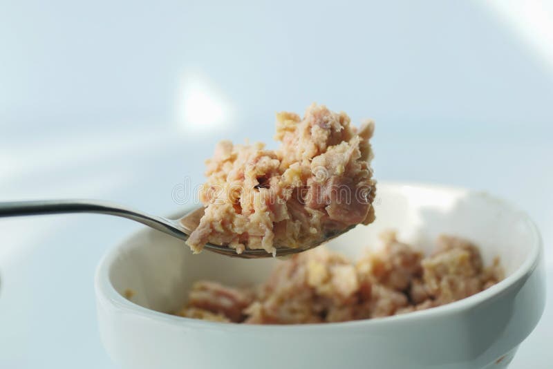 Canned Tuna in a Bowl on Table Stock Photo Image of tuna, fish 274121140