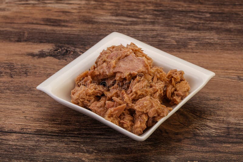 Canned Tuna Fillet for Salad Stock Image Image of protein, closeup 189711739