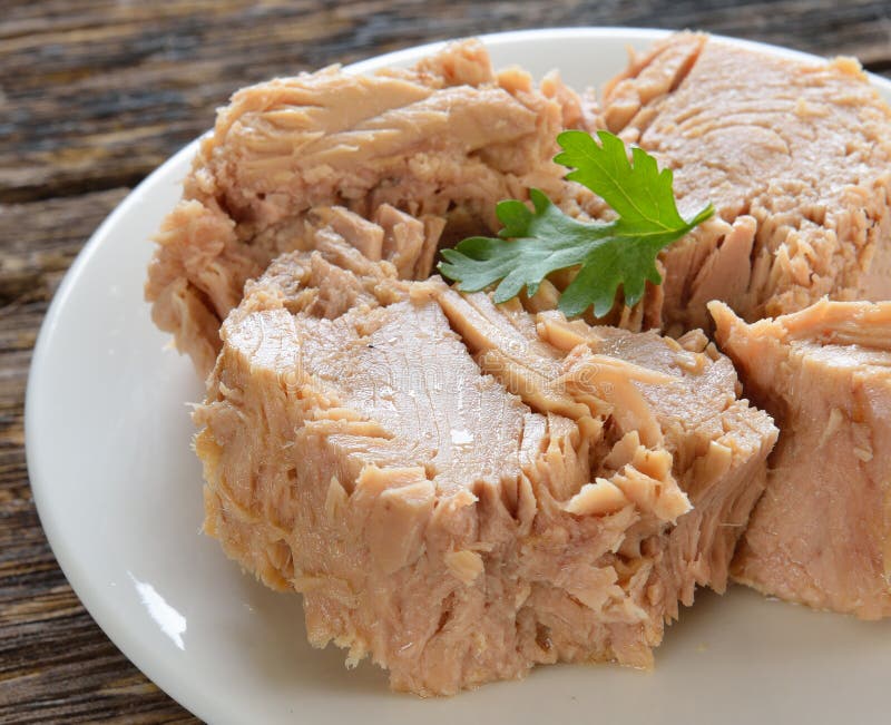 Canned Tuna Fish in Plate on White Background Stock Image Image of