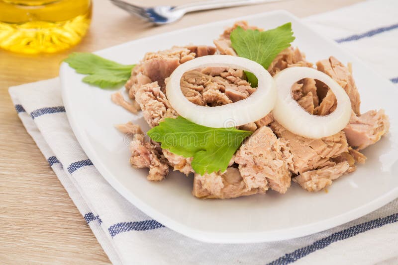 Canned Tuna Fish on White Dish Stock Photo Image of salad, plate
