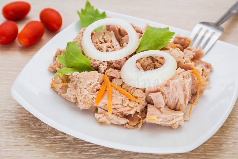Canned Tuna Fish with Vegetable in Bowl Stock Image Image of prepared