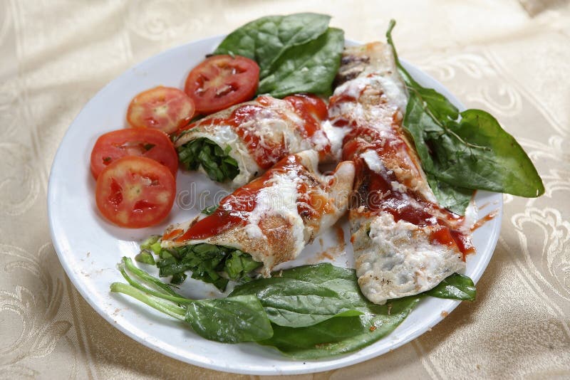 Cannelloni fiorentini fotografia stock libera da diritti Cannelloni fiorentini fotografia stock libera da diritti