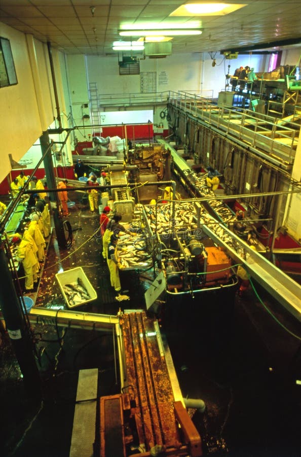 Cannery editorial image. Image of factory, processing 43103385