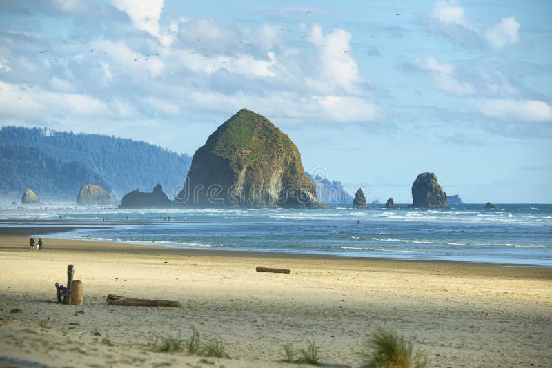 Cannon Beach in Oregon stock image. Image of dunes, outdoors 84181313