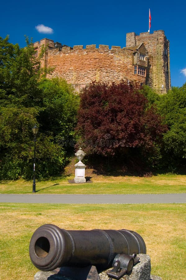 Cannon and castle