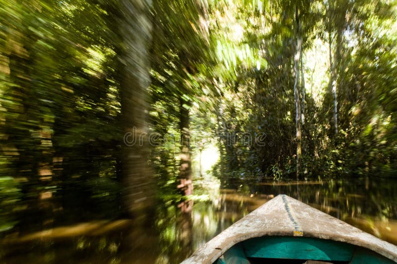 Canoe in Amazon Rainforest royalty free stock image