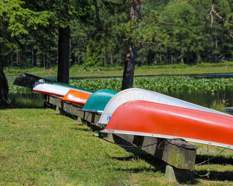 Canoe en kayaks liggen in de buurt van water in Black Moshannon State Park, Pennsylvania royalty-vrije stock fotografie Canoe en kayaks liggen in de buurt van water in Black Moshannon State Park, Pennsylvania royalty-vrije stock fotografie