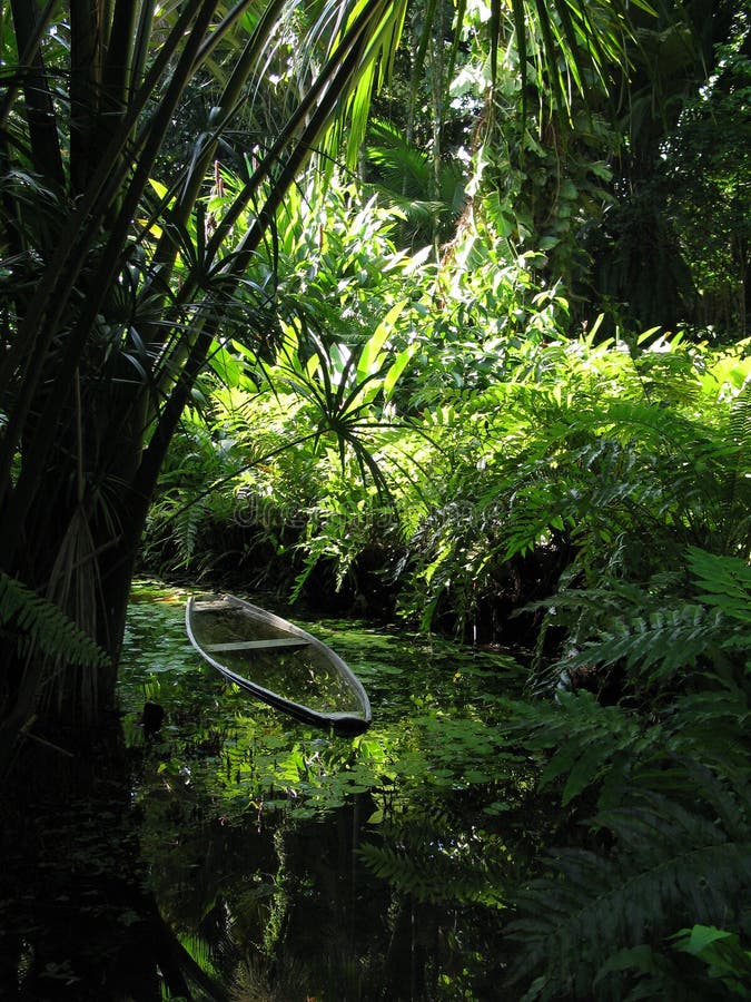 Canoe in the vegetation