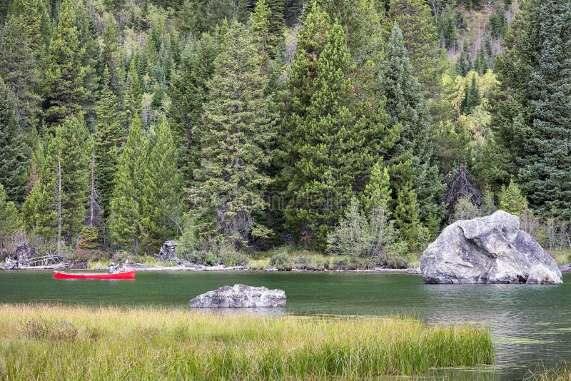 Canoeing auf Jenny Lake stockfoto. Bild von kanu, nave 50007734
