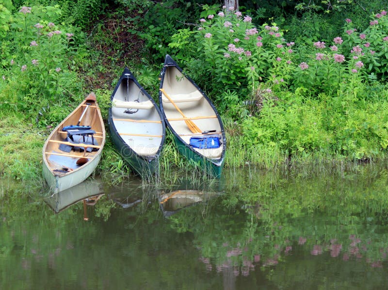 Canoes on the River Bank stock photo. Image of scouts - 17594530