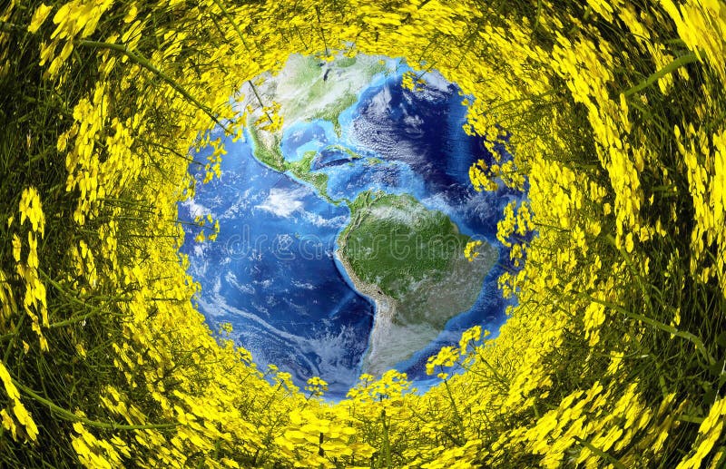 Bee Hives in Canola stock image. Image of beehive, hives 14394517