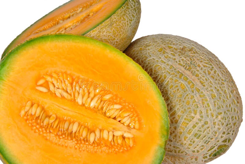 Cantaloup melon stock image. Image of open, orange, cantaloup 12275771