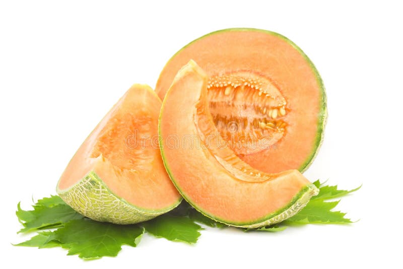 Cantaloupe melon stock photo. Image of freshness, orange 25270492