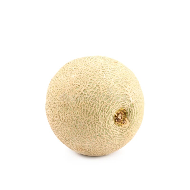 Cantaloupe Melon Fruit Isolated Stock Image Image of melon, tasty