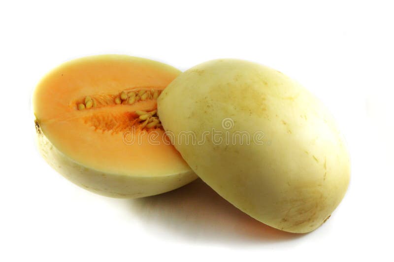 Cantaloupe melon stock image. Image of single, orange 41032103