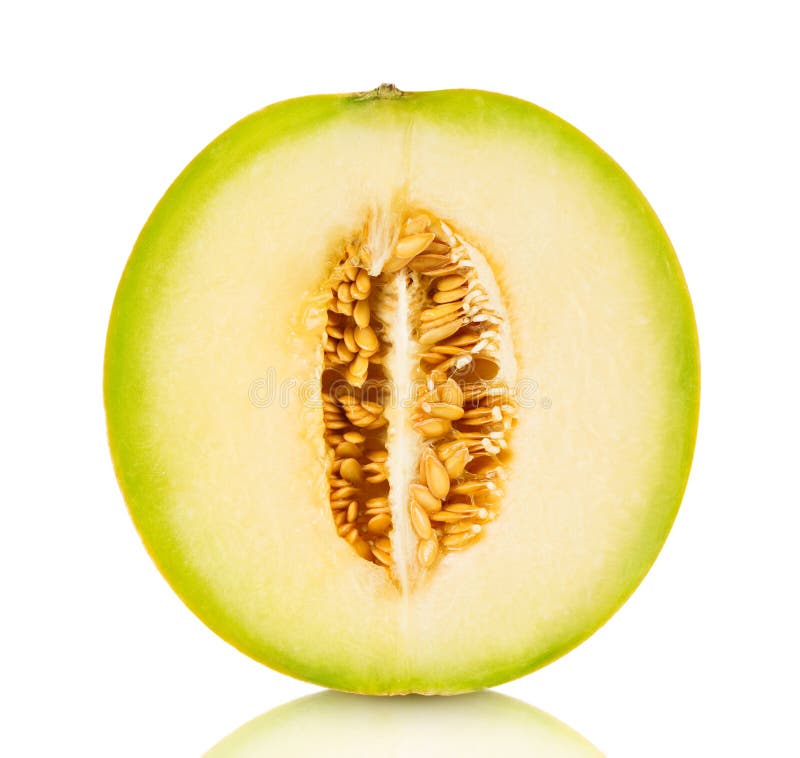 Cantaloupe melon stock photo. Image of piece, fresh, single 48848208