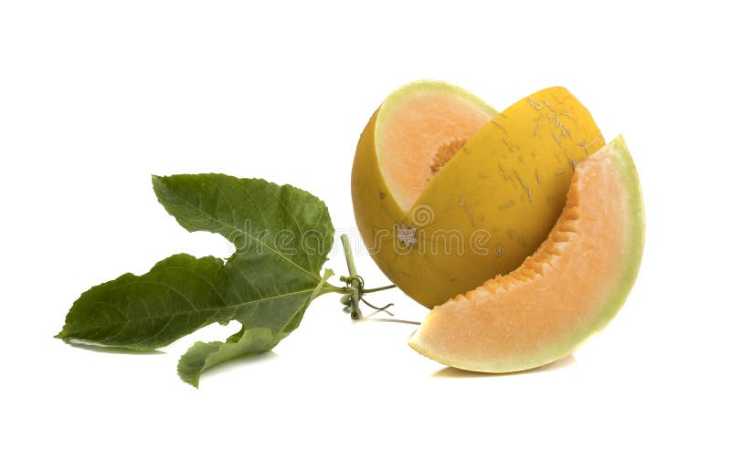 cantaloupe melon isolated on white royalty free stock image cantaloupe melon isolated on white royalty free stock image