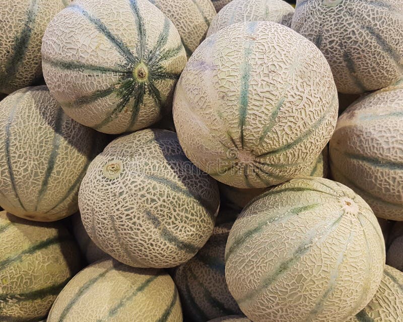 Cantaloupe melon stock image. Image of piece, diet, honey 98260477