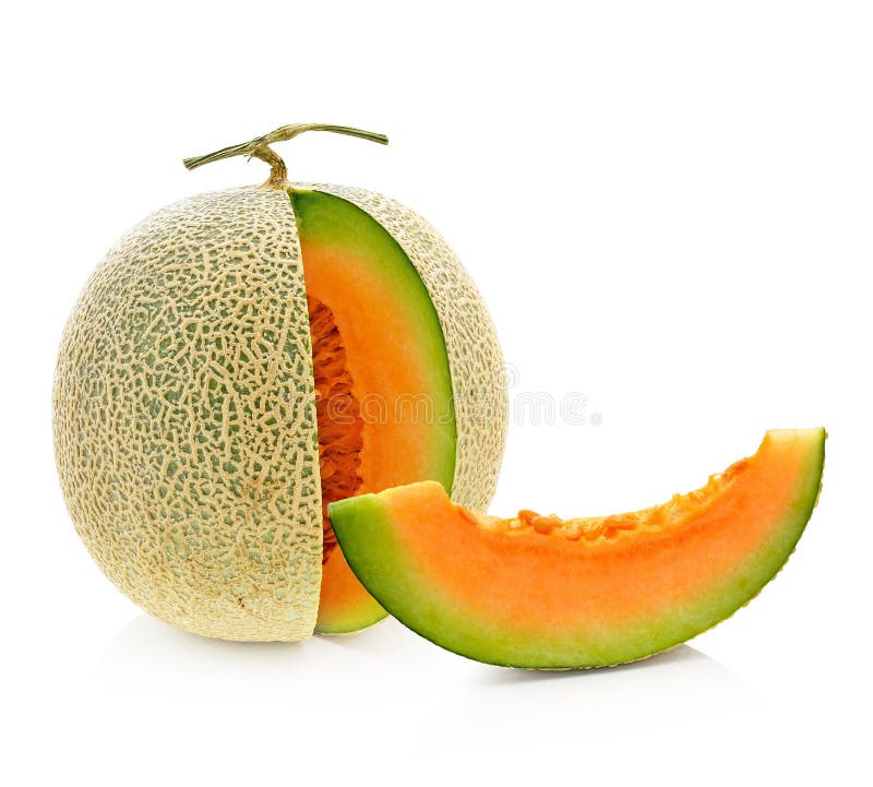 Cantaloupe melon stock photo. Image of sweet, single 34466190