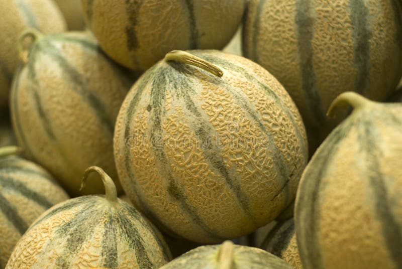 Cantaloupe stock image. Image of fruits, rinds, stack 54398521