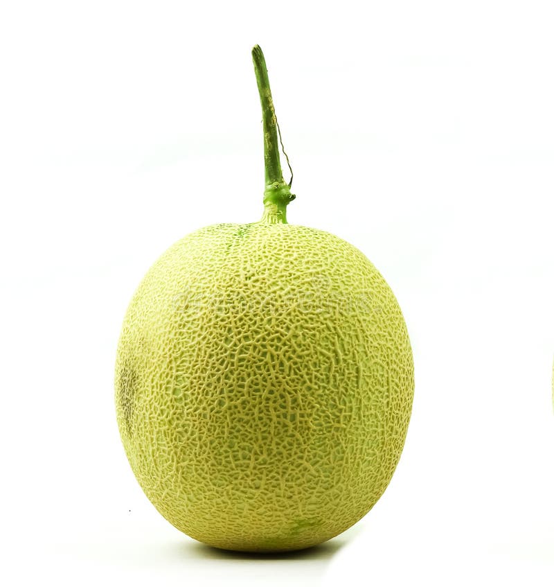 Cantaloupe or rock melon stock image. Image of food, cantaloupe 51051661
