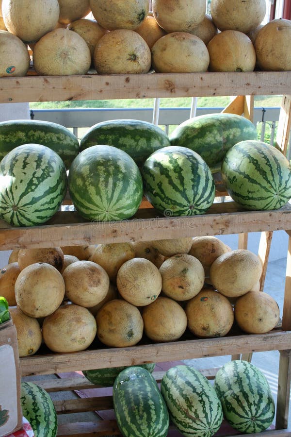 Cantaloupe and Watermelon stock photo. Image of juicy 5578194