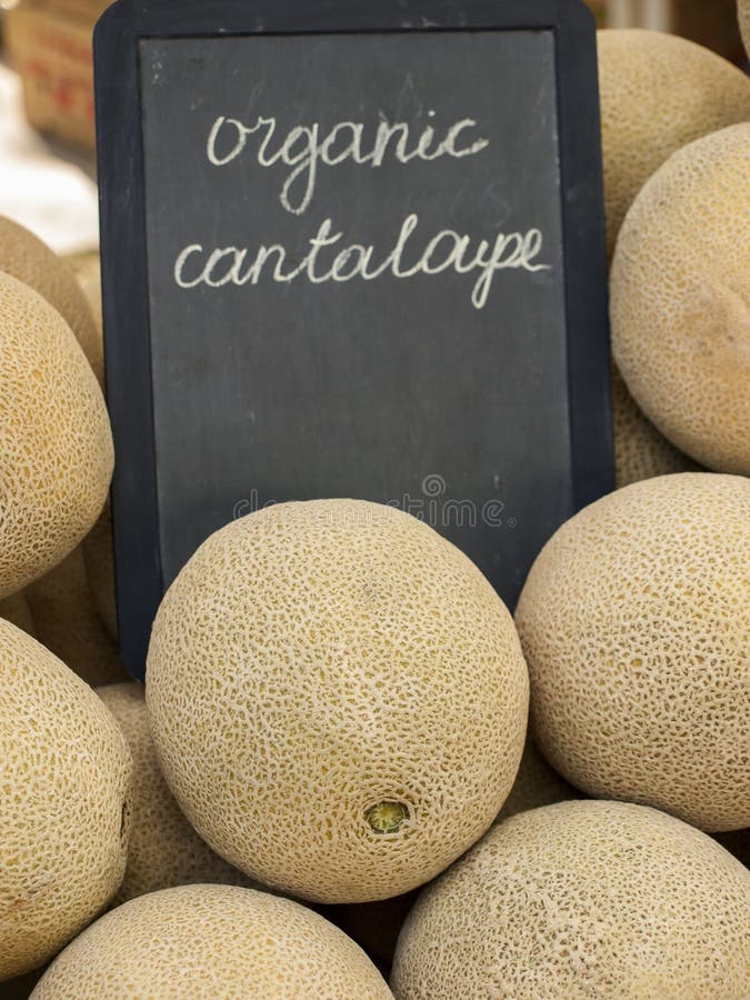 Download Cantalupo foto de stock. Imagem de persa, nave, vegetais - 26504196