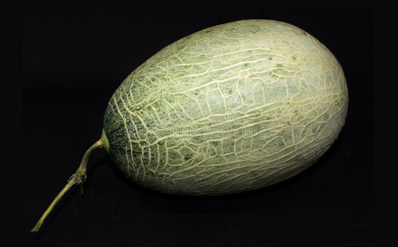 Cantalupo no fundo - fruto natural saudável imagem de stock Cantalupo no fundo - fruto natural saudável imagem de stock