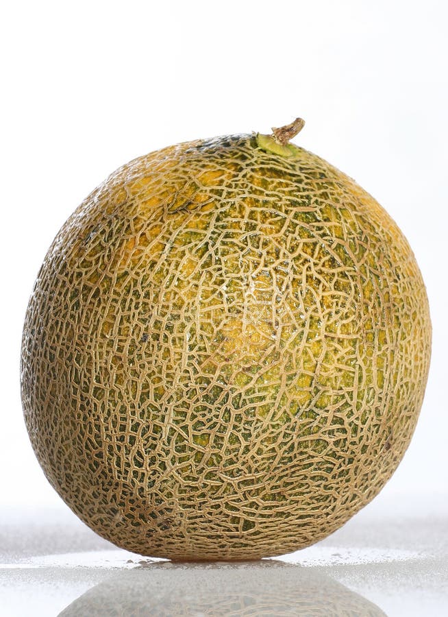 Canteloupe stock image. Image of texture, cucumis, canteloup 3150851