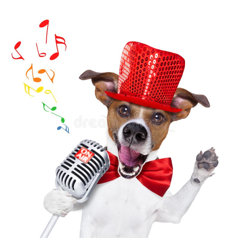 Jack russell dog , singing a karaoke song or reading the news using a retro mic or microphone, party hat and red tie, isolated on white background. Jack russell dog , singing a karaoke song or reading the news using a retro mic or microphone, party hat and red tie, isolated on white background