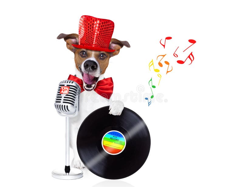 Jack russell dog , singing a karaoke song using a retro mic or microphone,with vinyl record as dj, isolated on white background. Jack russell dog , singing a karaoke song using a retro mic or microphone,with vinyl record as dj, isolated on white background