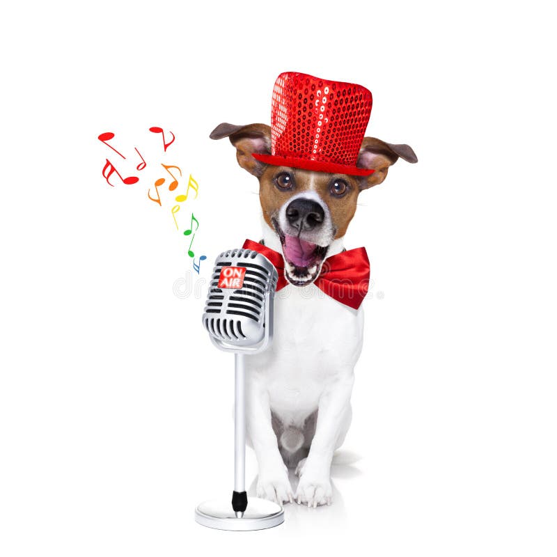 Jack russell dog , singing a karaoke song or reading the news using a retro mic or microphone, party hat and red tie, isolated on white background. Jack russell dog , singing a karaoke song or reading the news using a retro mic or microphone, party hat and red tie, isolated on white background