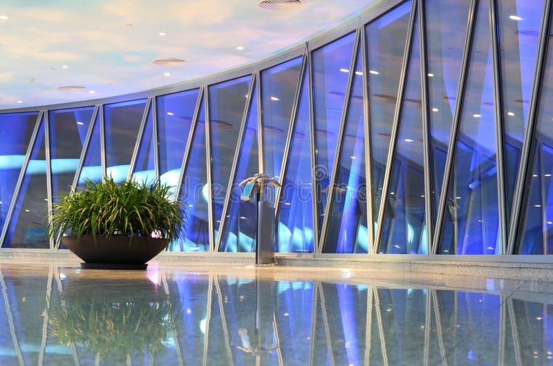 Canton - lookout tv tower with big plant royalty free stock photos