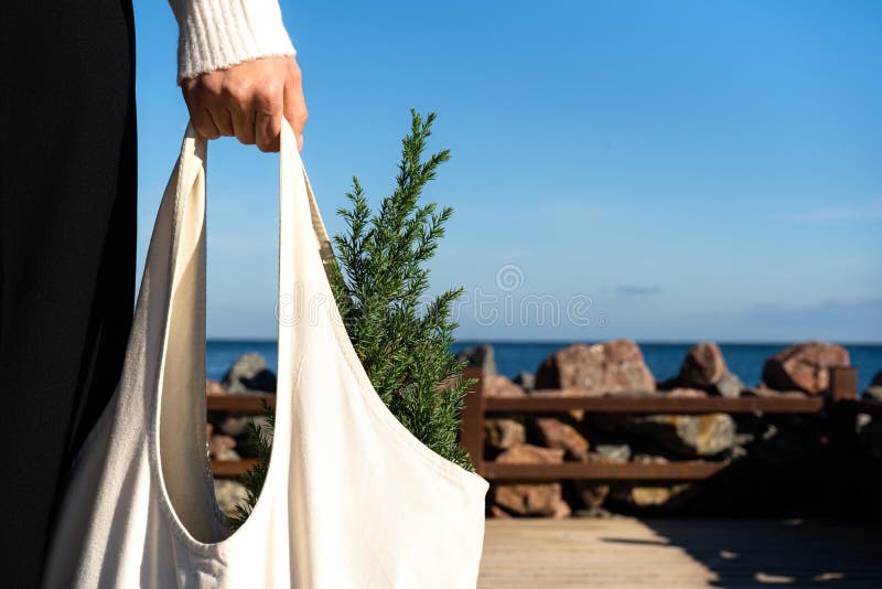 Canvas bag with a small Christmas tree in the girl\'s hand against the background of the sea.