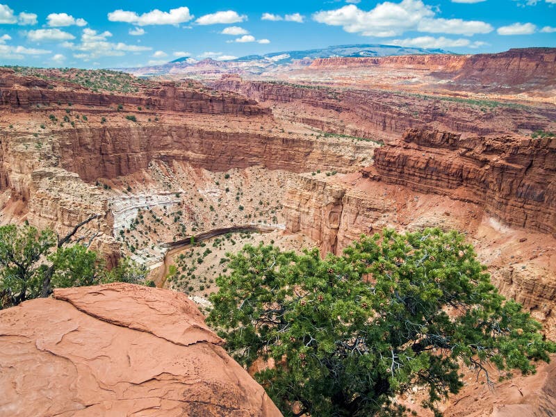 Canyon At Capitol Reef Stock Image Image Of Boulders 38696303