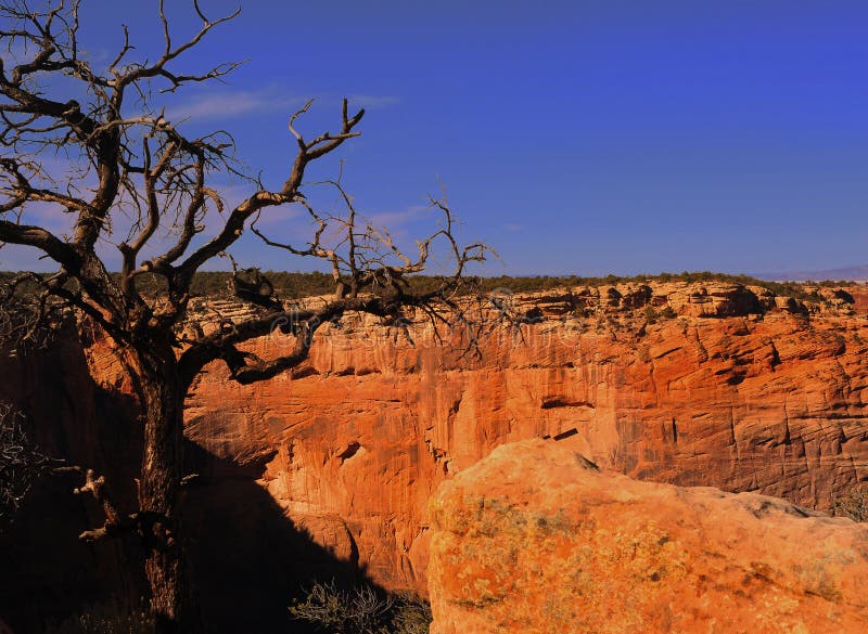 Canyon De Chelly