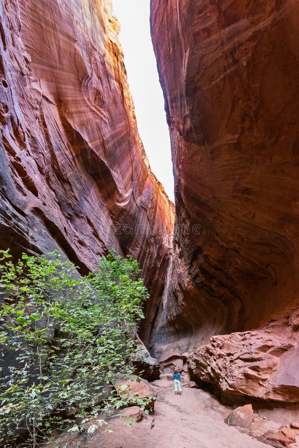 Canyon de fente, Burr Trail en Utah photo stock Canyon de fente, Burr Trail en Utah photo stock