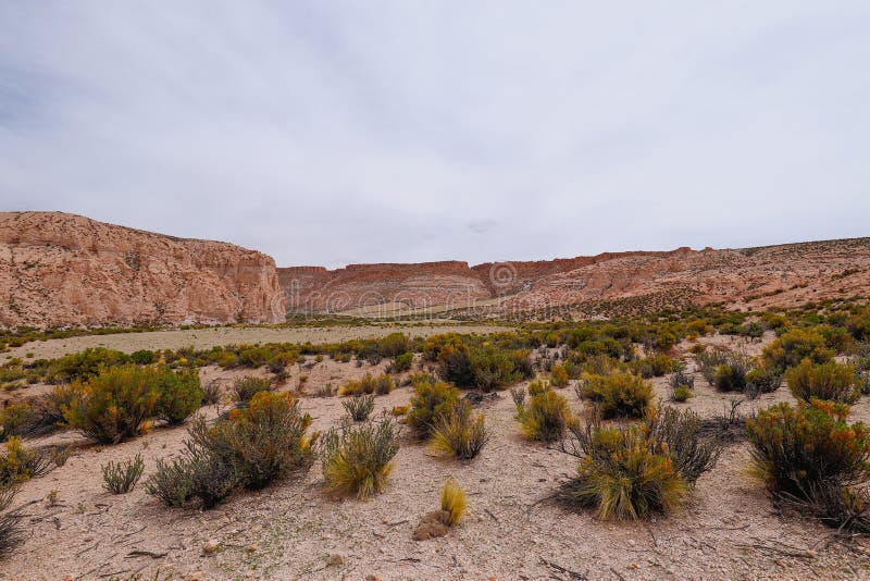 Um Veículo Todo Preso Na Areia Movediça No Canyon Del Rio Anaconda