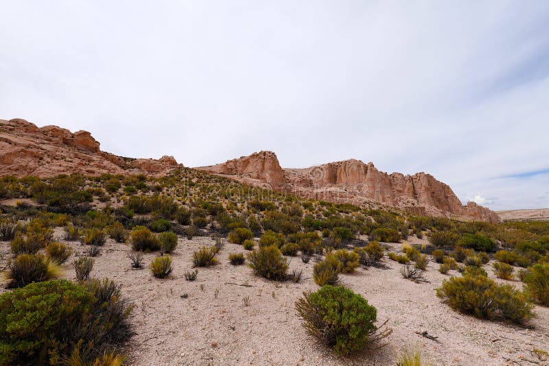 Um Veículo Todo Preso Na Areia Movediça No Canyon Del Rio Anaconda