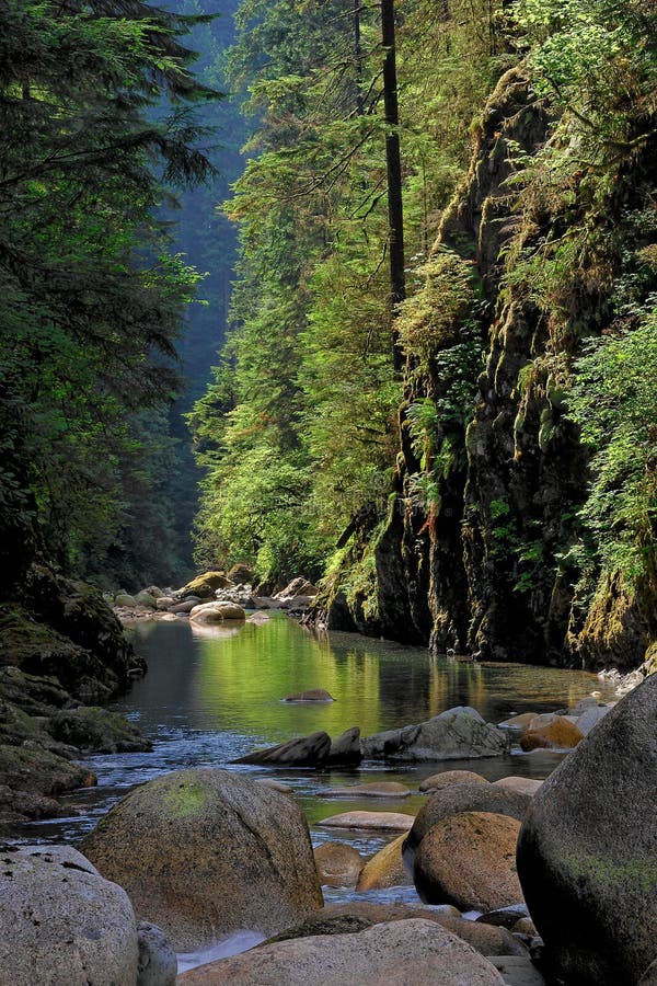 Canyon della Lynn a Vancouver fotografia stock libera da diritti Canyon della Lynn a Vancouver fotografia stock libera da diritti