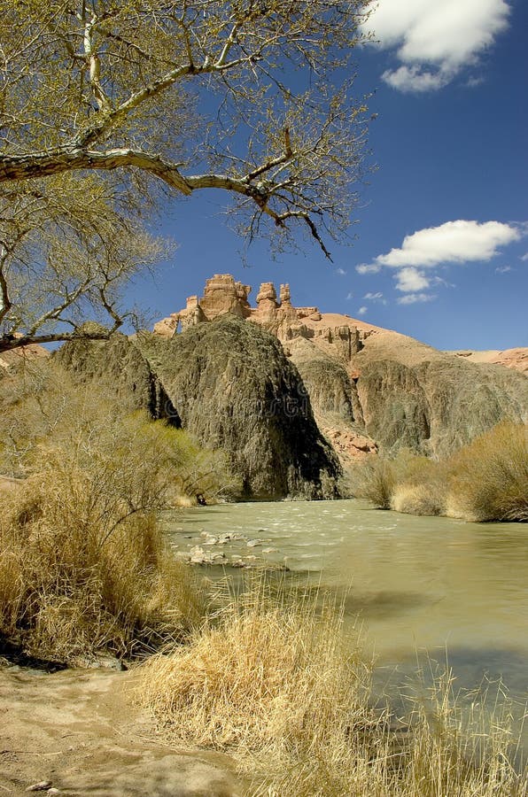 Canyon and river royalty free stock image