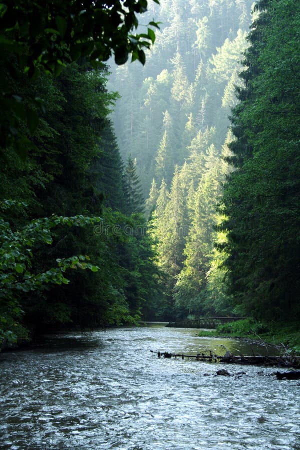 Canyon a řeka na Slovensku v Národním Parku slovenský Ráj.