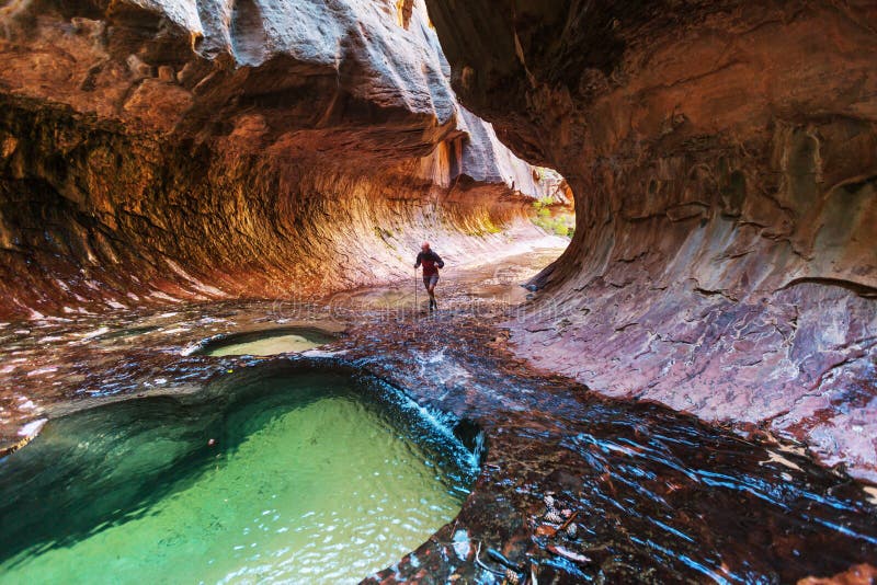 Canyon in Zion