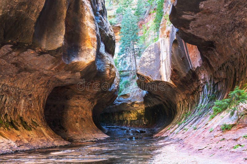 Canyon in Zion