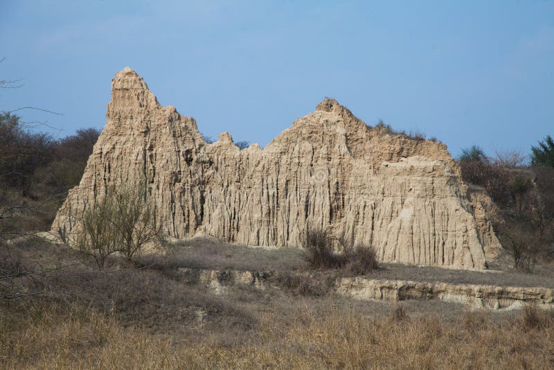 Canyons gevormd door bodemerosie stock foto's