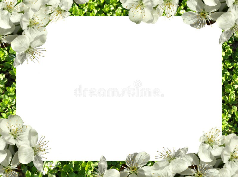 Capítulo de flores png foto de archivo. Imagen de verde - 128328156 Capítulo de flores png foto de archivo. Imagen de verde - 128328156