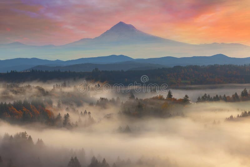 Capa da montagem sobre Sandy River Valley Sunrise nevoento fotos de stock Capa da montagem sobre Sandy River Valley Sunrise nevoento fotos de stock
