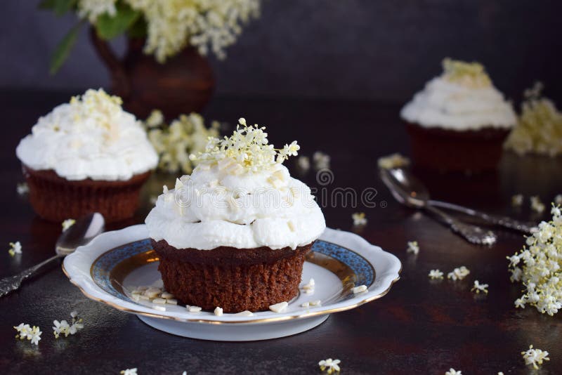 Capcakes de chocolat avec de la cr?me de vanille arros?e avec les fleurs blanches de chocolat et de baie de sureau Type de cru Co photo libre de droits Capcakes de chocolat avec de la cr?me de vanille arros?e avec les fleurs blanches de chocolat et de baie de sureau Type de cru Co photo libre de droits