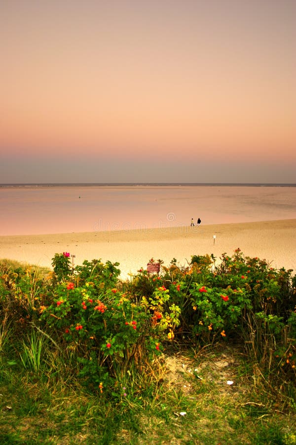 Cape Cod, Massachusetts stock image. Image of coastline 4423429