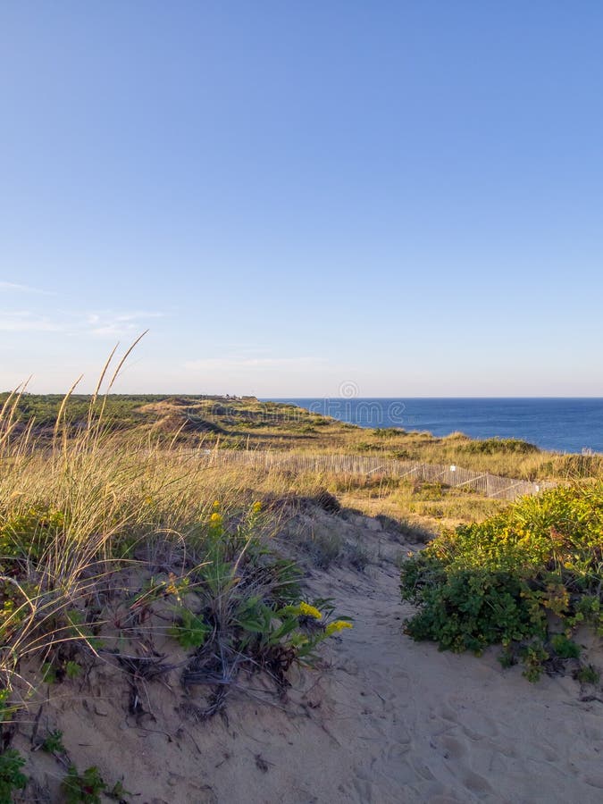 Cape Cod nationella kustklippor på Goldenhour royaltyfria foton Cape Cod nationella kustklippor på Goldenhour royaltyfria foton
